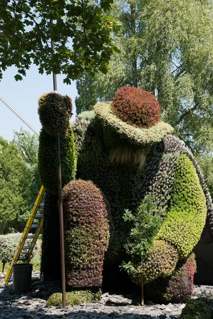 AI generated alt: A huge planted sculpture of a stooping figure in a broad hat, built from red and green foliage, a yellow ladder leaning against it.